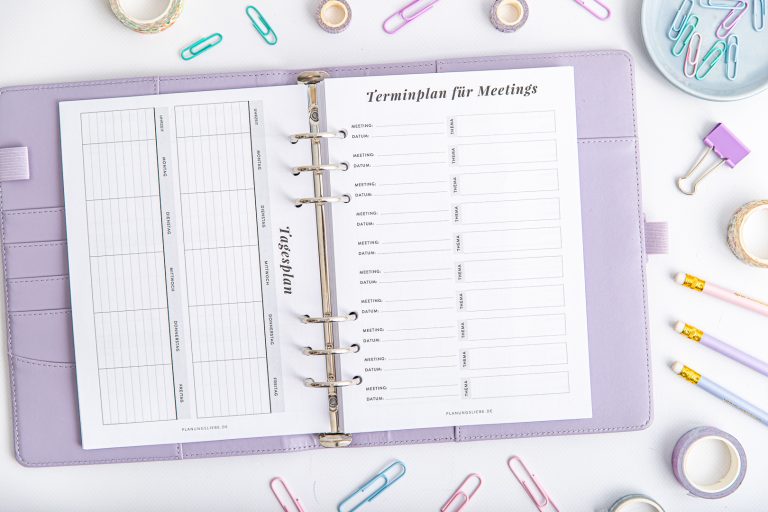 Einlagenseite: Tagesplan und Terminplan für Meetings
