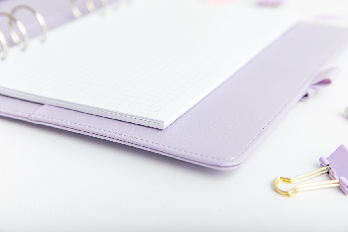 Ringbuch Einlagen – Kariert – im Organizer