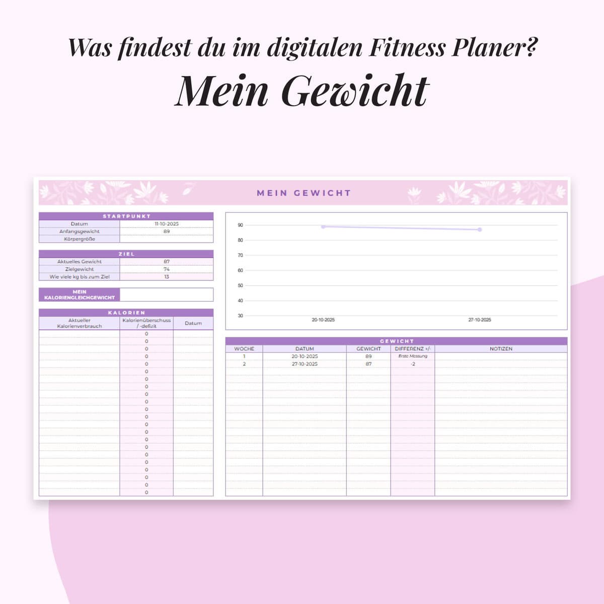 Fitness-Planer im Google Sheets | Mein Gewicht