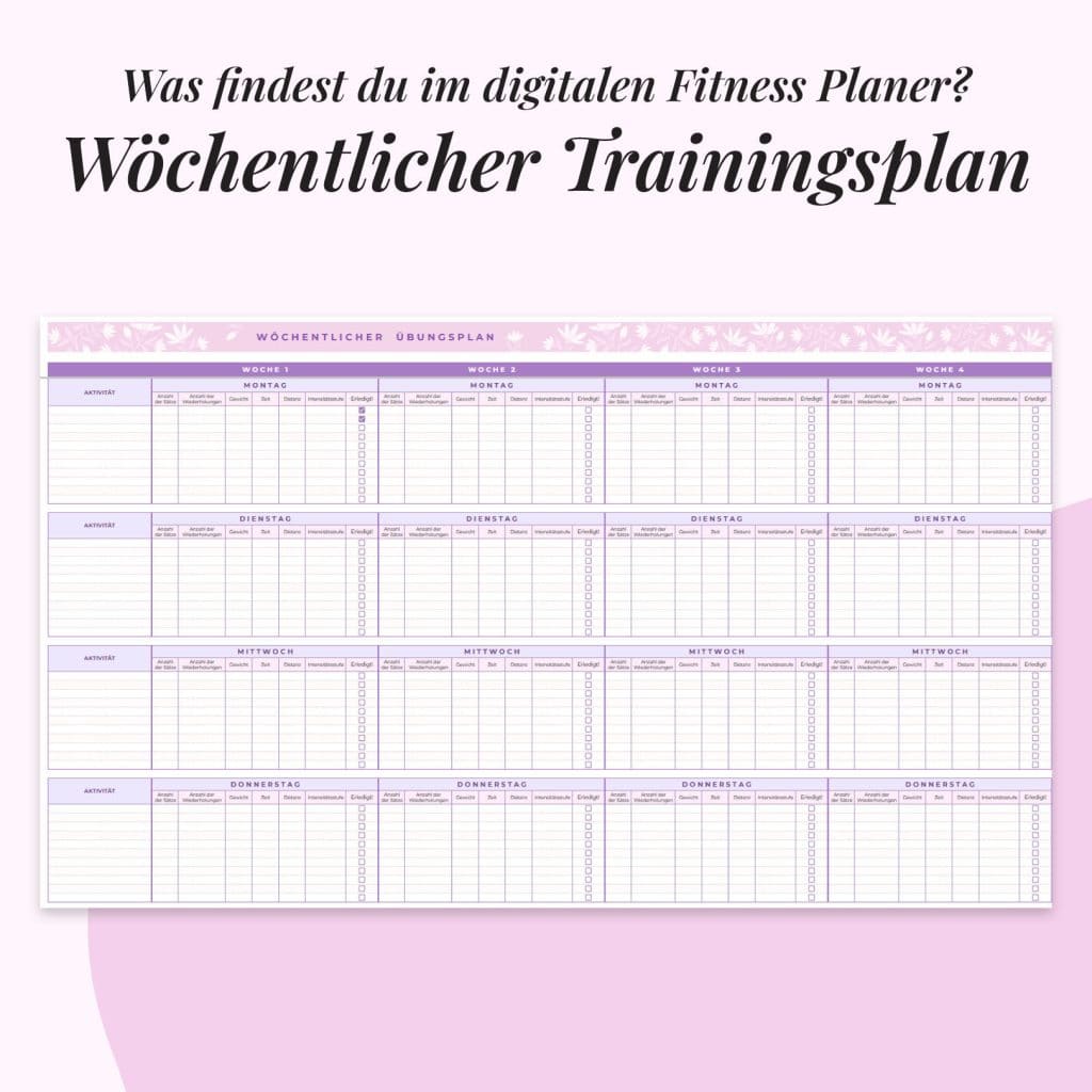 Fitness-Planer im Google Sheets | Wochenlicher Traningsplan