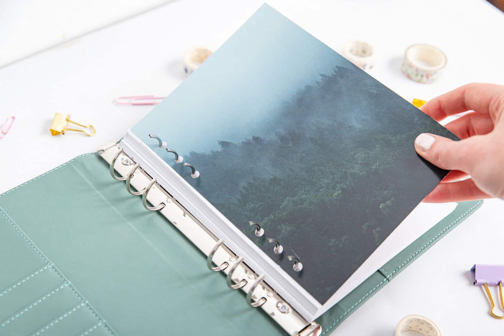 Forest Echo - Titelseite für Ringbuchplaner