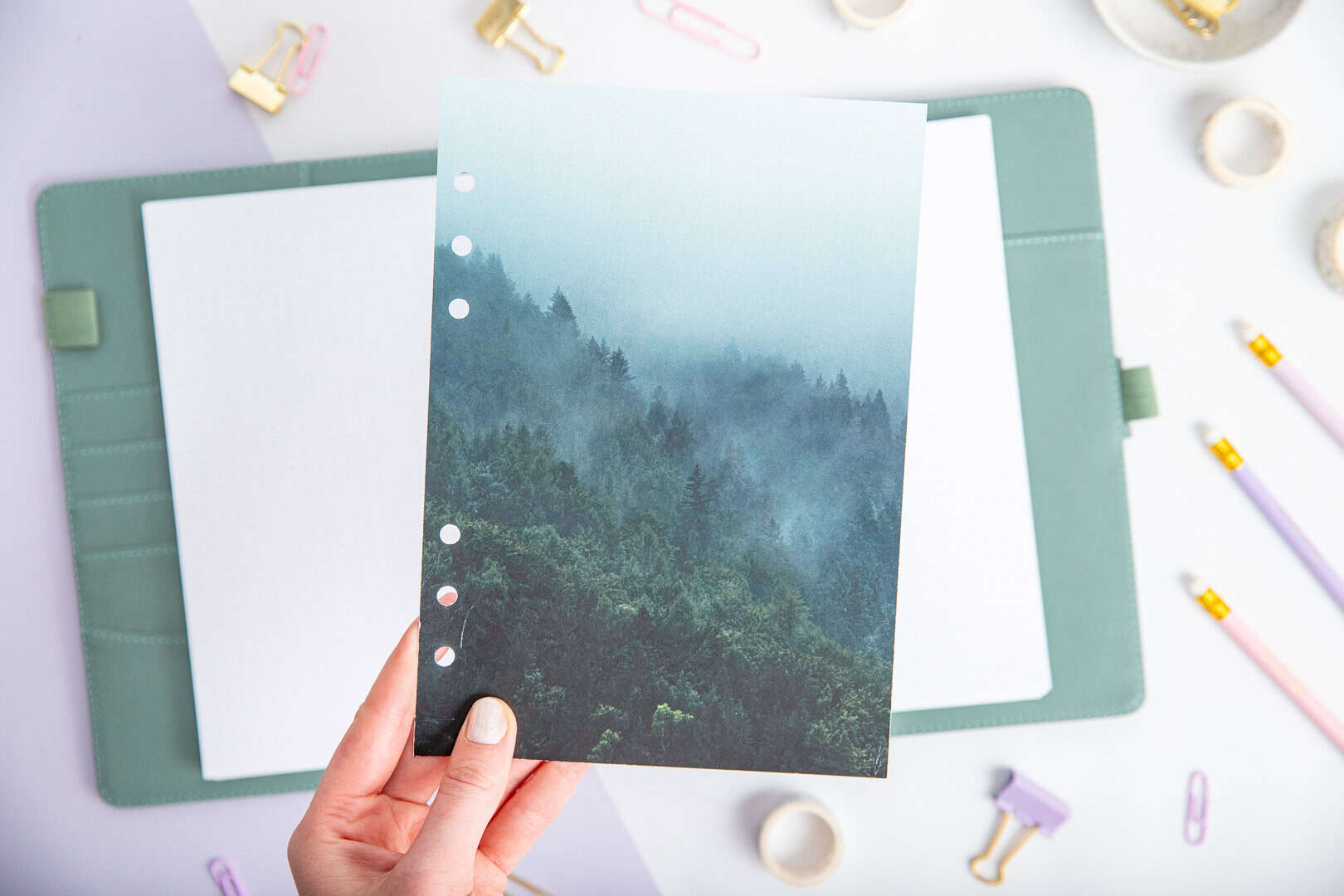 Forest Echo - titelseite