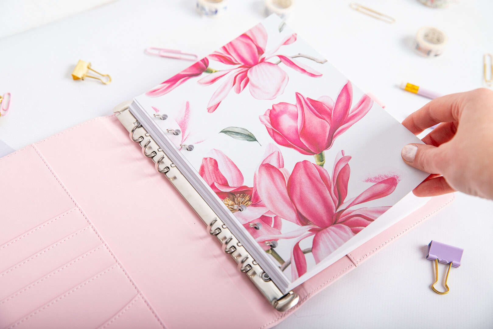 Magnolienblüte - Titelseite