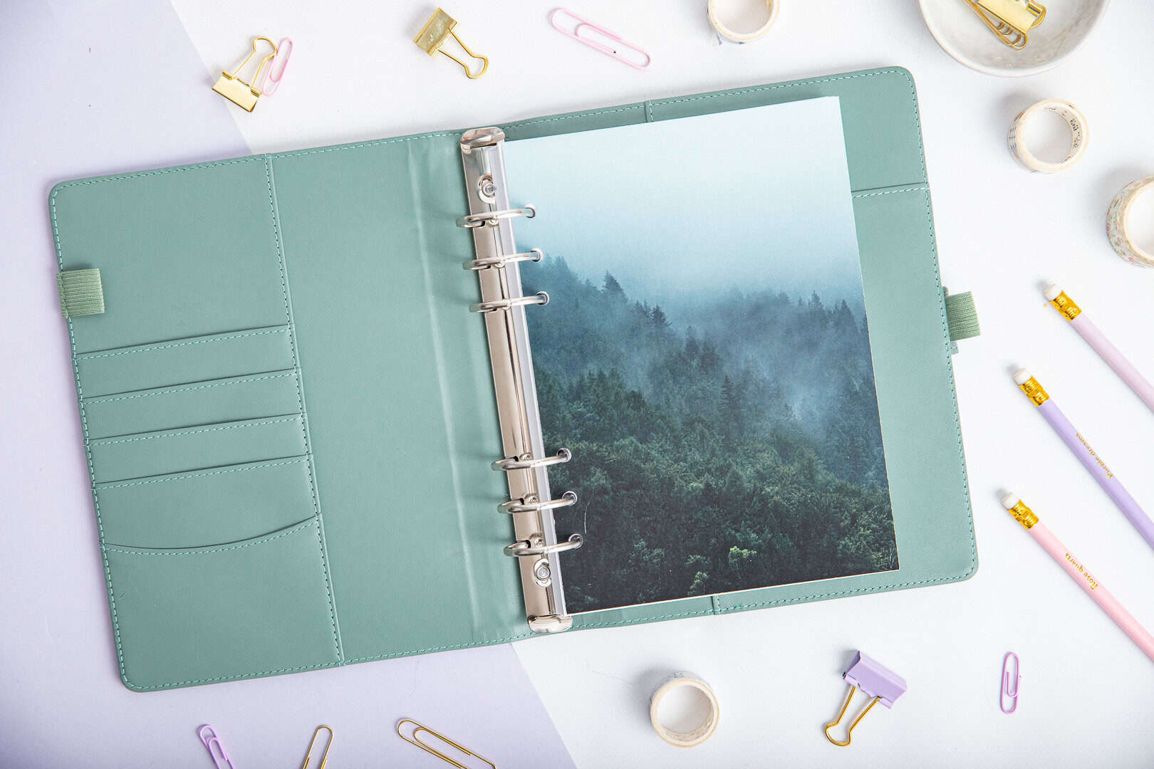 Titelseite - Forest Echo