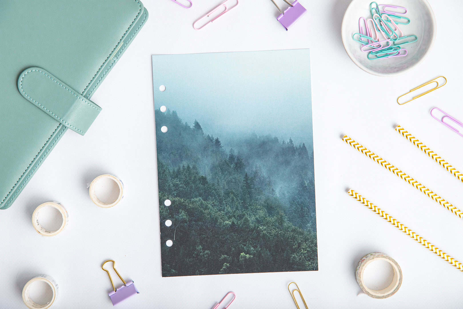 Titelseite für Ringbuchplaner - Forest Echo