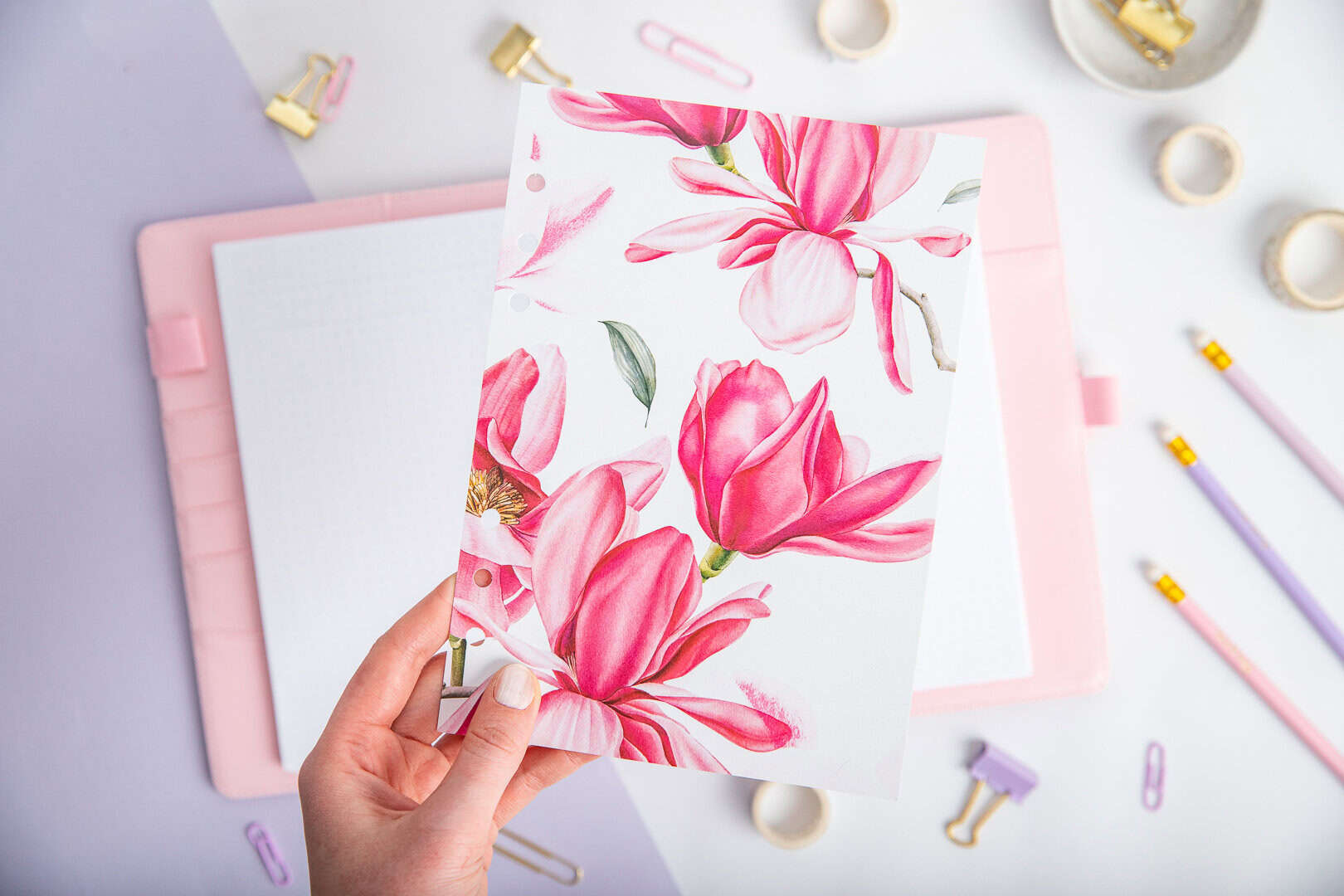 Titelseite- Magnolienblüte