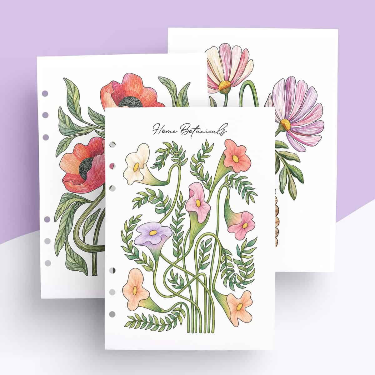 Malvorlagen „Moderne Blumensträuße“ – Ringbuch Einlagen